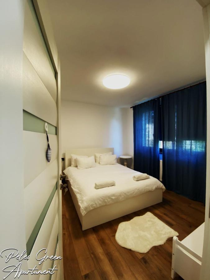 Peles Green Apartment & Piano Клуж-Напока Экстерьер фото