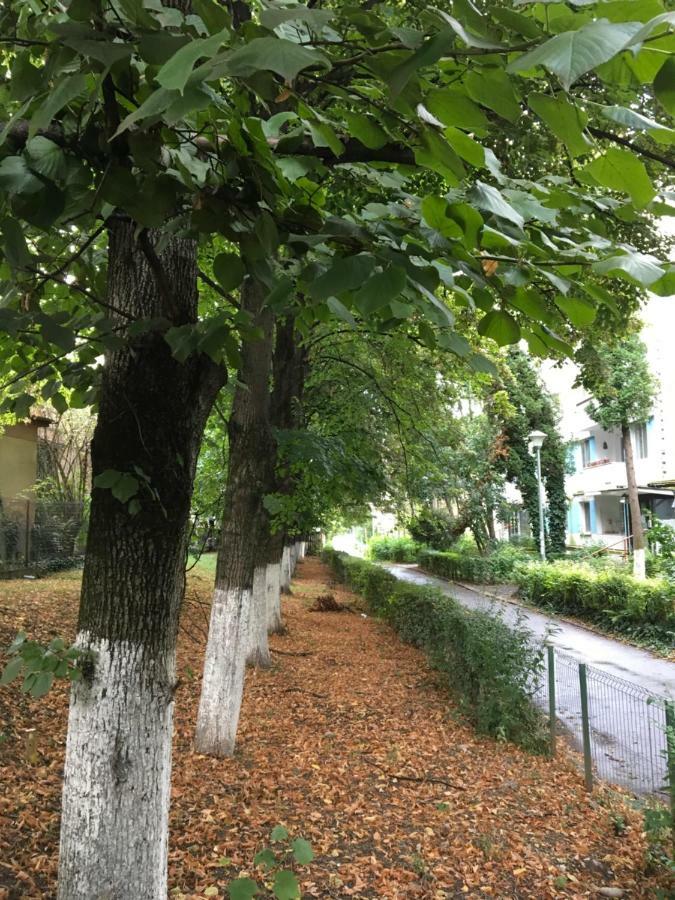 Peles Green Apartment & Piano Клуж-Напока Экстерьер фото